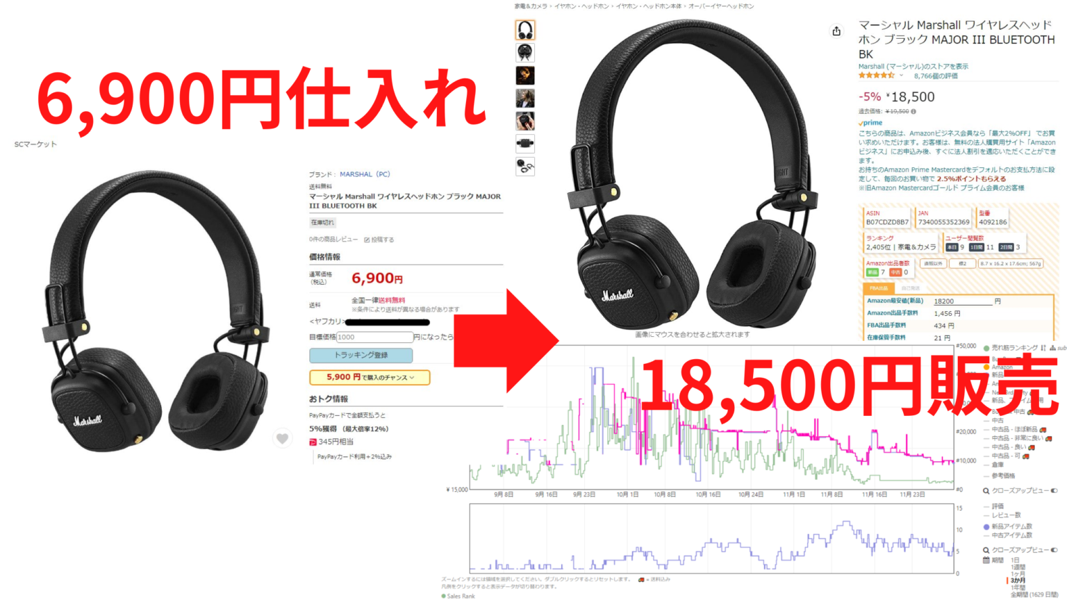 6,900円仕入れ → 18,500円販売